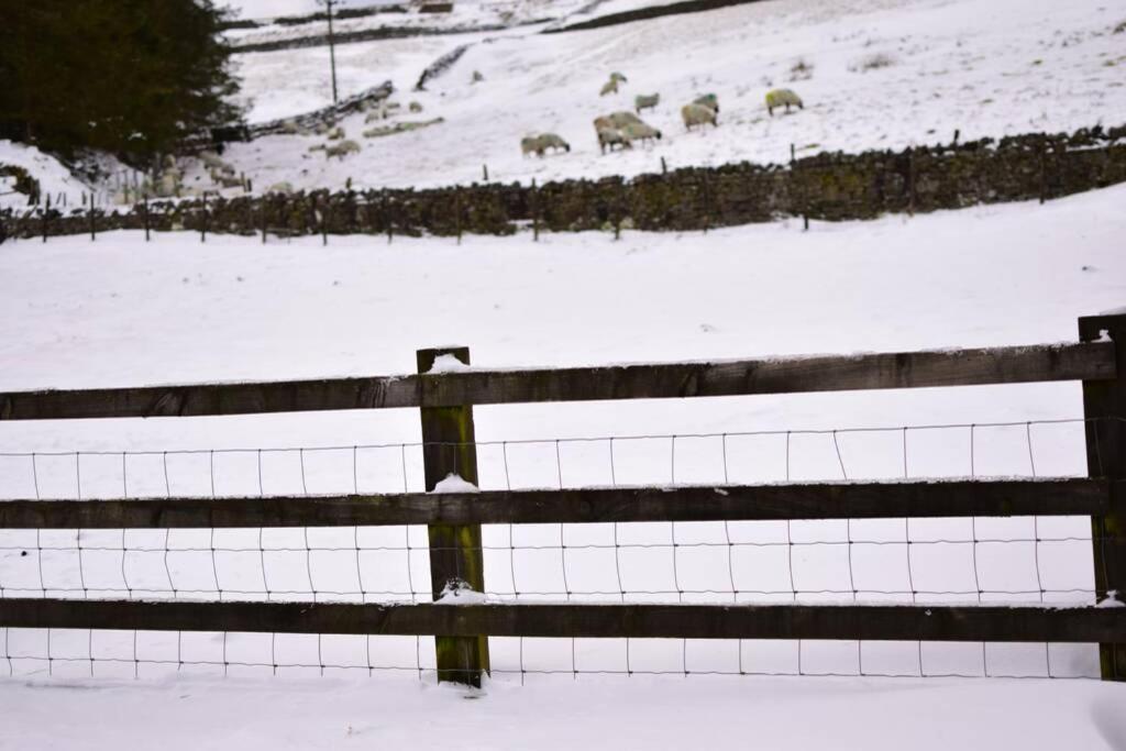 Cranmore House - A Walkers' And Cyclists' Dream Nenthead Екстер'єр фото